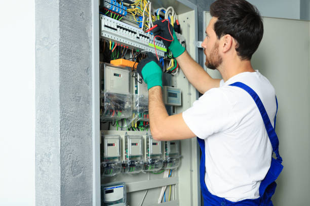 Best Electrical System Inspection  in Guthrie Center, IA