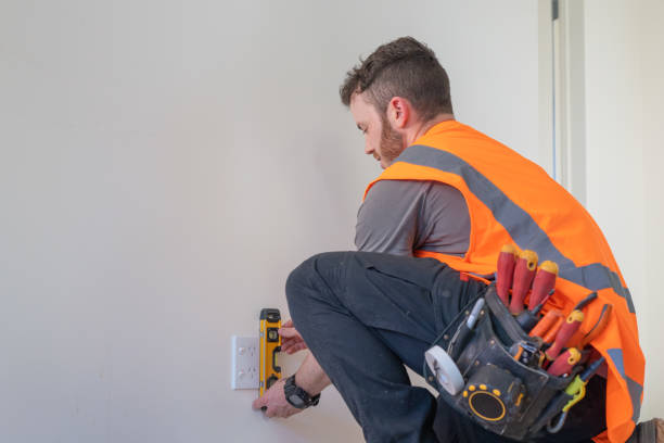 Best Ceiling Fan Installation Electrician  in Guthrie Center, IA